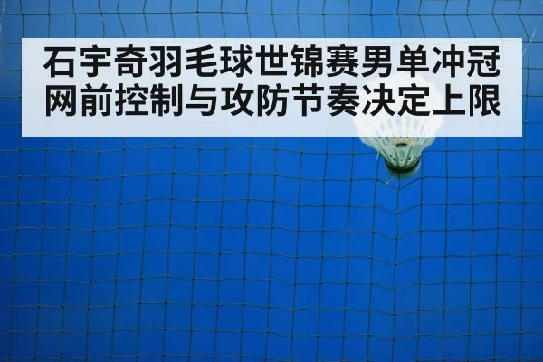 badminton net shot closeup